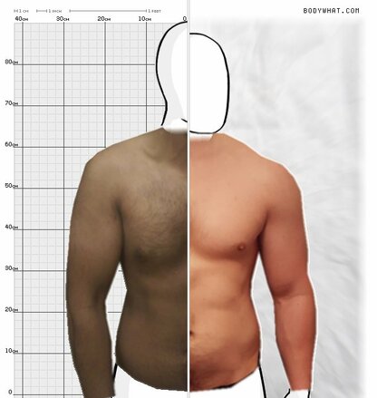 Torso Comparison