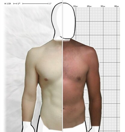 Torso Comparison