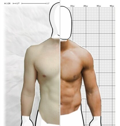 Torso Comparison