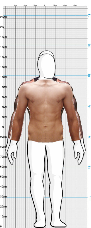 Full Size Comparison