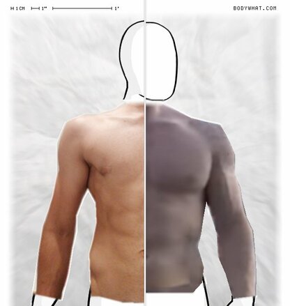 Torso Comparison