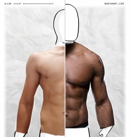 Torso Comparison