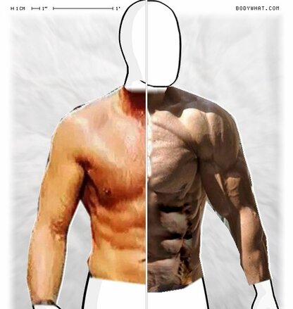 Torso Comparison