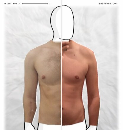 Torso Comparison