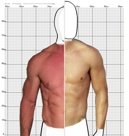Torso Comparison