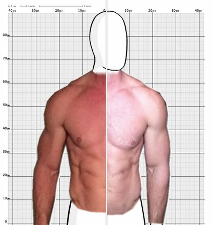 Torso Comparison