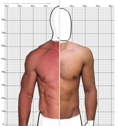 Torso Comparison
