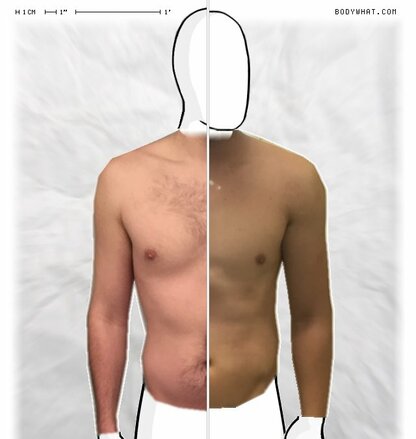 Torso Comparison