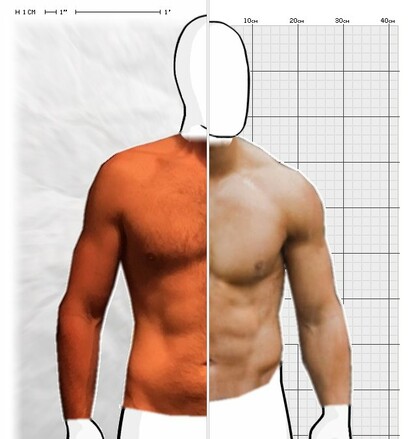 Torso Comparison