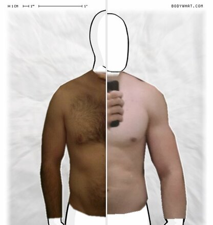 Torso Comparison