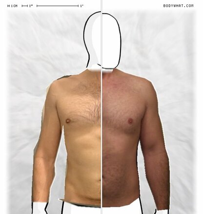 Torso Comparison