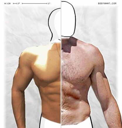 Torso Comparison