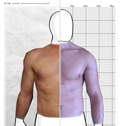 Torso Comparison