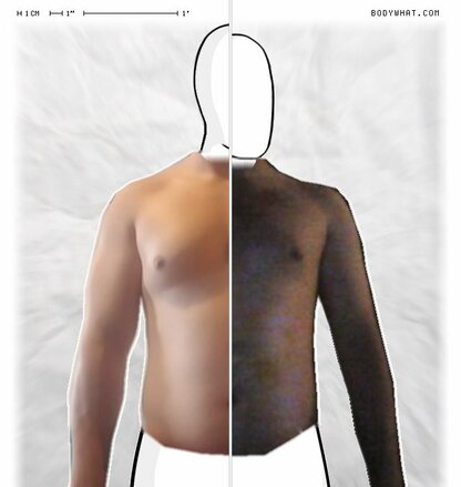 Torso Comparison