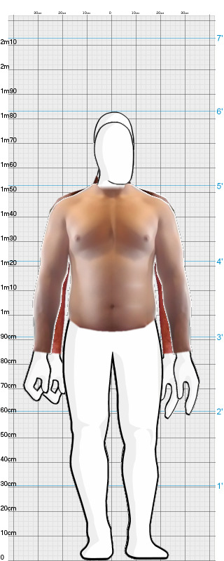 Full Size Comparison