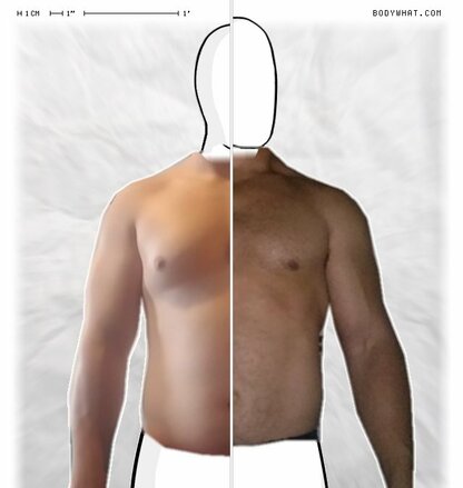 Torso Comparison