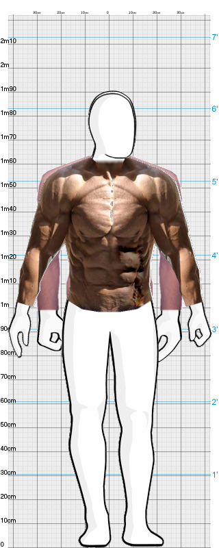 Full Size Comparison