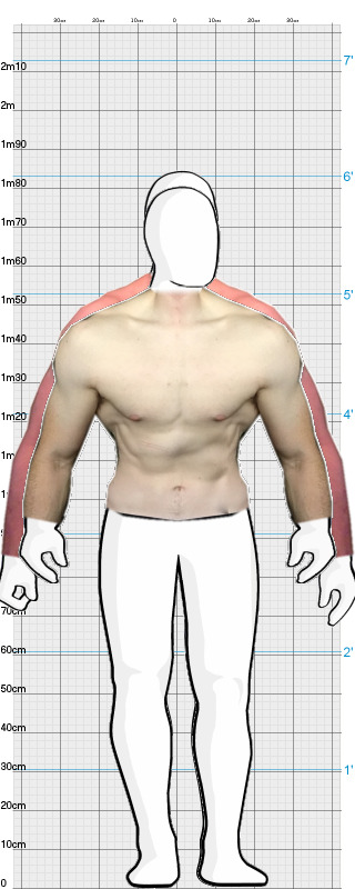 Full Size Comparison