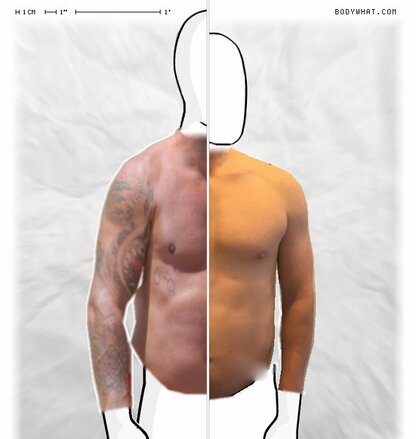 Torso Comparison