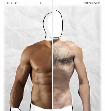 Torso Comparison