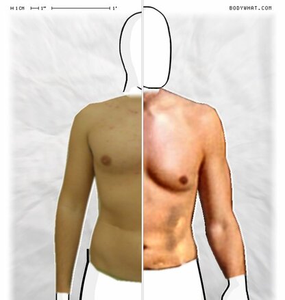 Torso Comparison