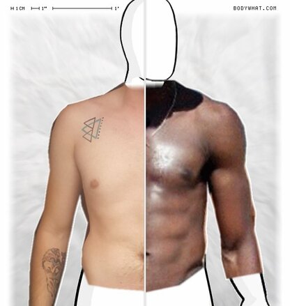 Torso Comparison