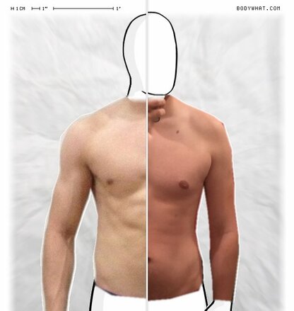 Torso Comparison