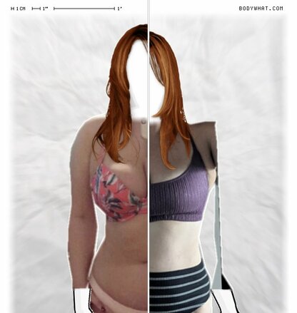 Torso Comparison