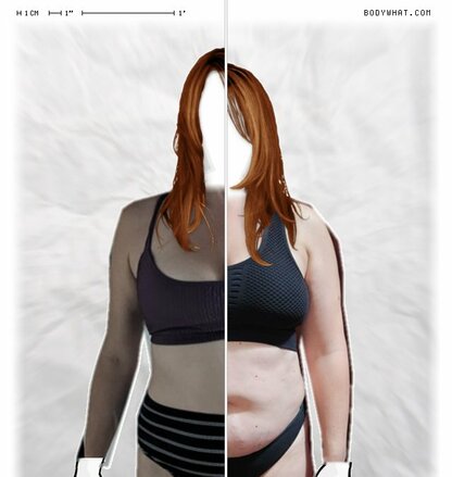 Torso Comparison