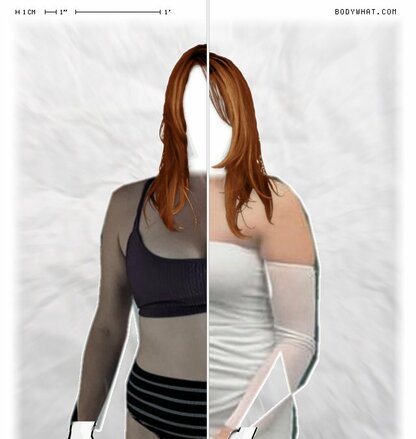 Torso Comparison