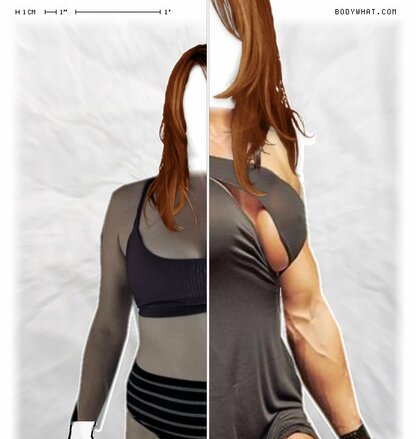 Torso Comparison