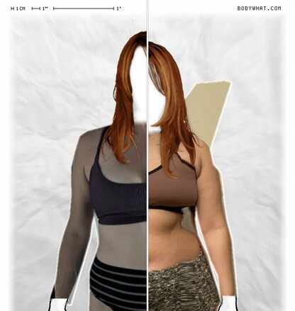 Torso Comparison