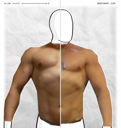 Torso Comparison