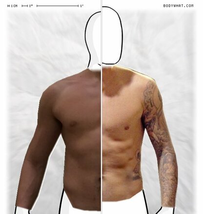 Torso Comparison