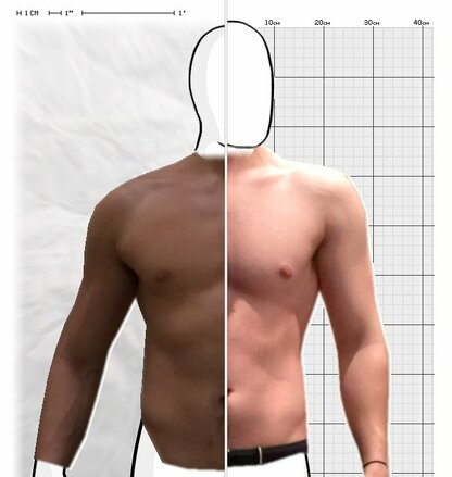 Torso Comparison