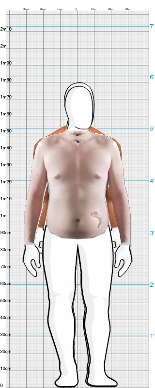 Full Size Comparison