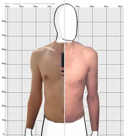 Torso Comparison