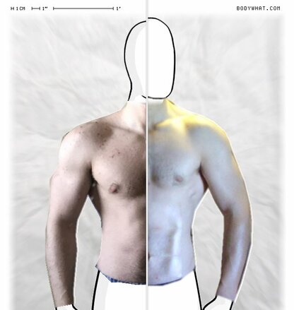 Torso Comparison