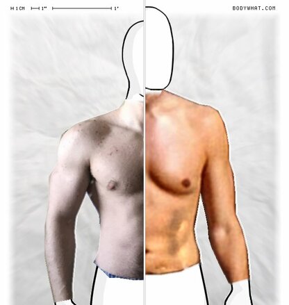 Torso Comparison