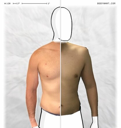 Torso Comparison