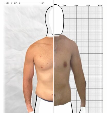 Torso Comparison