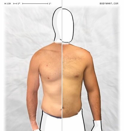 Torso Comparison