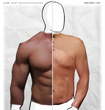 Torso Comparison