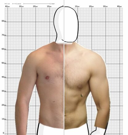 Torso Comparison