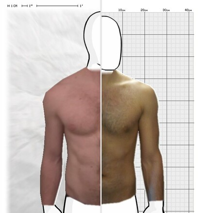 Torso Comparison