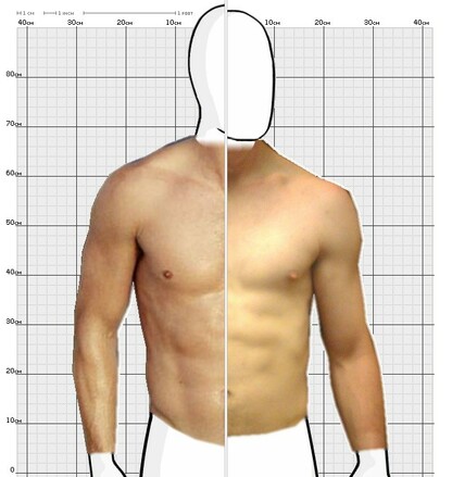 Torso Comparison