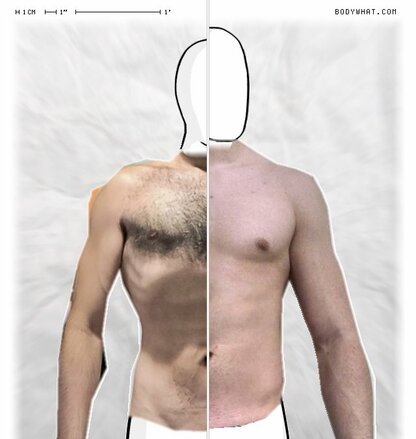 Torso Comparison