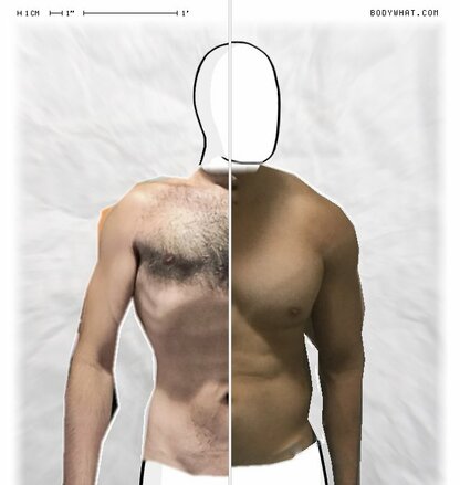 Torso Comparison