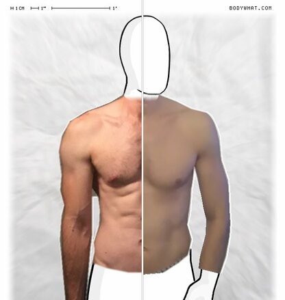 Torso Comparison