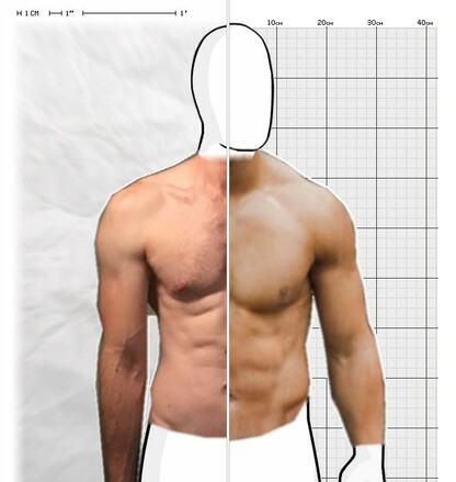 Torso Comparison